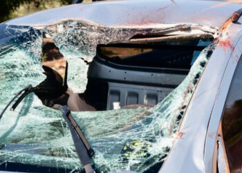 Cena chocante: cavalos morrem em atropelamentos na BR-262