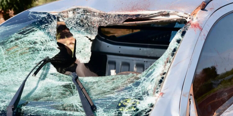 Cena chocante: cavalos morrem em atropelamentos na BR-262