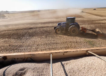 Geopolítica dos fertilizantes expõe fragilidade do agro brasileiro