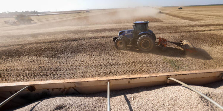 Geopolítica dos fertilizantes expõe fragilidade do agro brasileiro