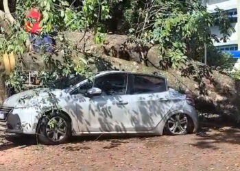 Queda de árvore danifica veículos na UFMS