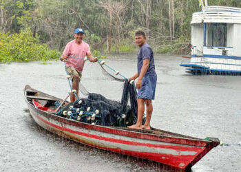 Energia limpa impulsiona economia ribeirinha no Amazonas