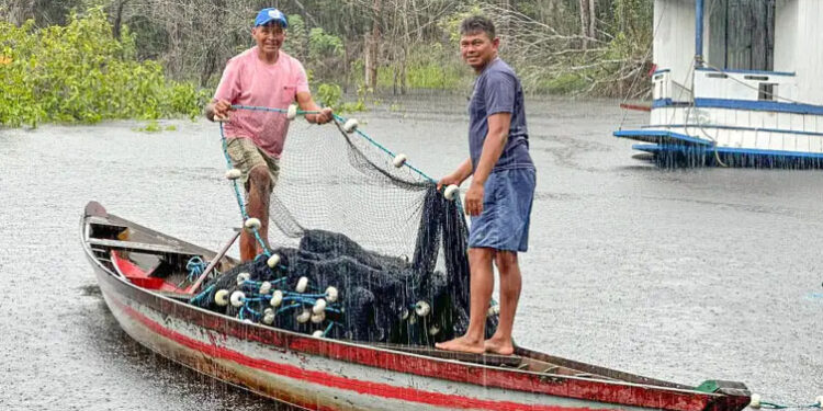 Energia limpa impulsiona economia ribeirinha no Amazonas