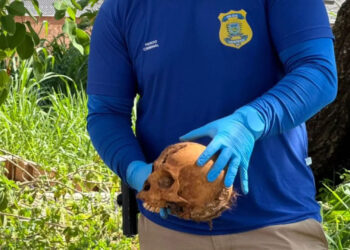 Crânio humano é encontrado em terreno baldio em Campo Grande