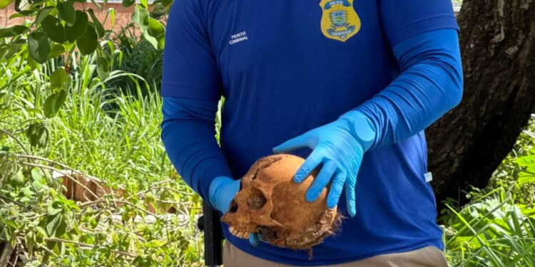 Crânio humano é encontrado em terreno baldio em Campo Grande