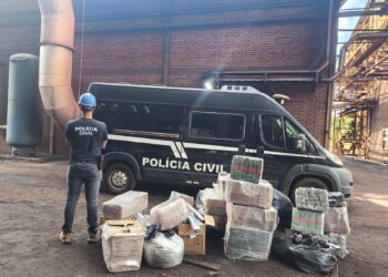 Polícia Civil incinera meia tonelada de entorpecentes em Ribas do Rio Pardo