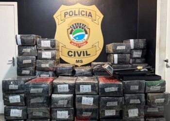 Polícia Civil apreende 1.600 kg de maconha e recupera veículo furtado em Mundo Novo