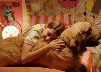 Festival de cinema BIFF 2026 divulga programação e selecionados