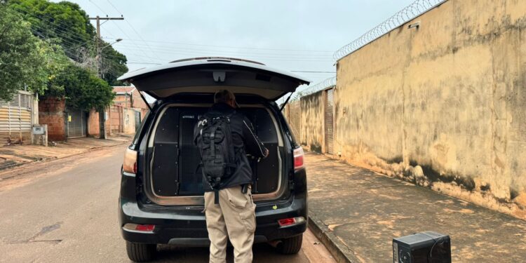 Polícia Civil de Mato Grosso do Sul participa da Operação Nacional Proteção Integral IV e realiza prisões por crimes de abuso sexual infantil