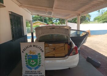 PM intercepta 516 kg de maconha em Amandina