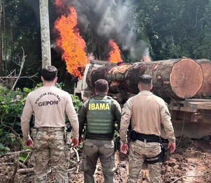 Ação conjunta combate crimes ambientais em terras indígenas na Amazônia