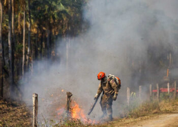 Fogo no Pantanal do Nabileque exige operação contínua em Corumbá