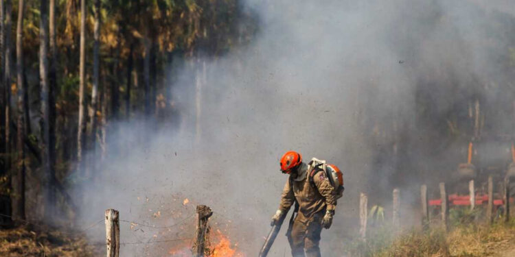 Fogo no Pantanal do Nabileque exige operação contínua em Corumbá