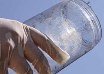 Combate a surto de chikungunya em reserva indígena do MS ganha reforço