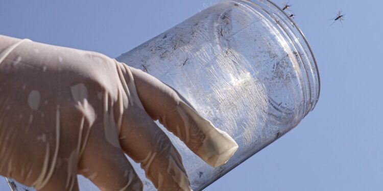 Combate a surto de chikungunya em reserva indígena do MS ganha reforço