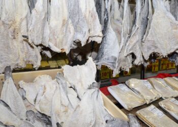 Consumidor deve ficar atento à qualidade do bacalhau na Semana Santa