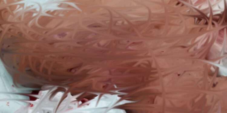 Briga familiar termina em ferimento por arma branca em Nova Andradina