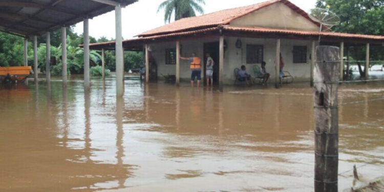 Dívidas rurais: projeto no Senado prevê refinanciamento; veja quem tem direito