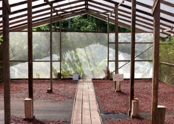 Edital seleciona projetos de inovação no Amazonas, Pará e Rondônia