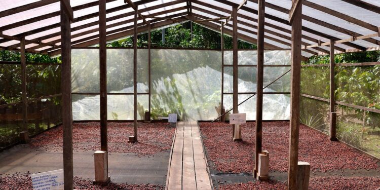 Edital seleciona projetos de inovação no Amazonas, Pará e Rondônia