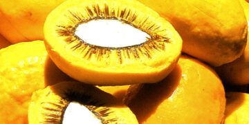 Evento da Embrapa aproxima ciência, inovação e produção de alimentos