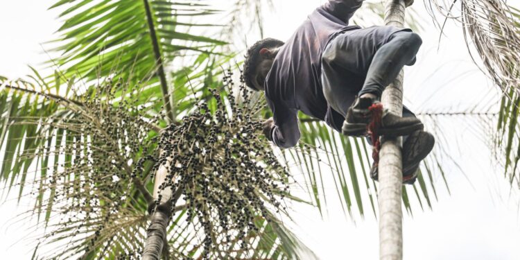 Governo investe R$ 132 milhões em regularização fundiária na Amazônia