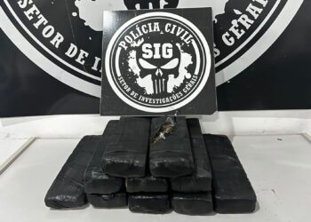 Mulher transportando 8 kg de maconha é presa pela Polícia Civil em Três Lagoas