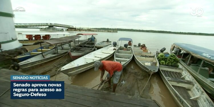 Novas regras para o seguro-defeso voltam à Câmara