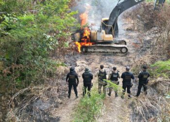 Operação na Terra Indígena Sararé prende 67 pessoas