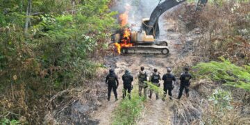 Operação na Terra Indígena Sararé prende 67 pessoas