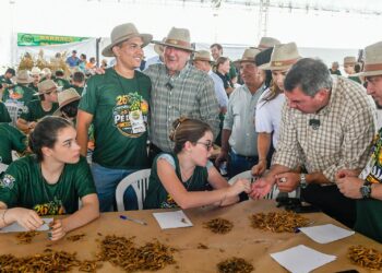 Festa do Pé de Soja Solteiro impulsiona agro em Laguna Carapã