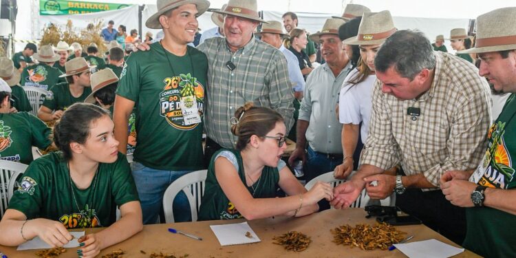 Festa do Pé de Soja Solteiro impulsiona agro em Laguna Carapã