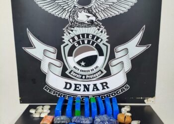 Polícia Civil apreende, na Capital, remessas de maconha e derivados via correios para diversos destinos no Brasil