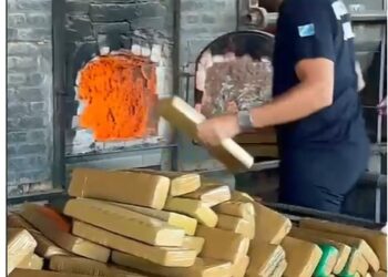 Polícia Civil incinera cerca de 3,6 toneladas de maconha que foram apreendidas em Rio Negro