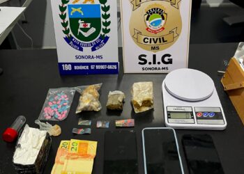 Polícia Militar e Polícia Civil desarticulam ponto de tráfico de drogas e prende jovem em Sonora