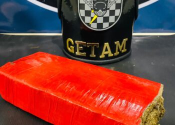 Polícia Militar em Três Lagoas localiza entorpecente