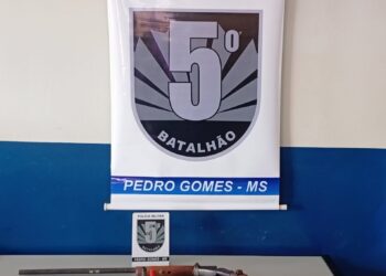 Polícia Militar prende homem por furto e porte ilegal de arma de fogo em Pedro Gomes