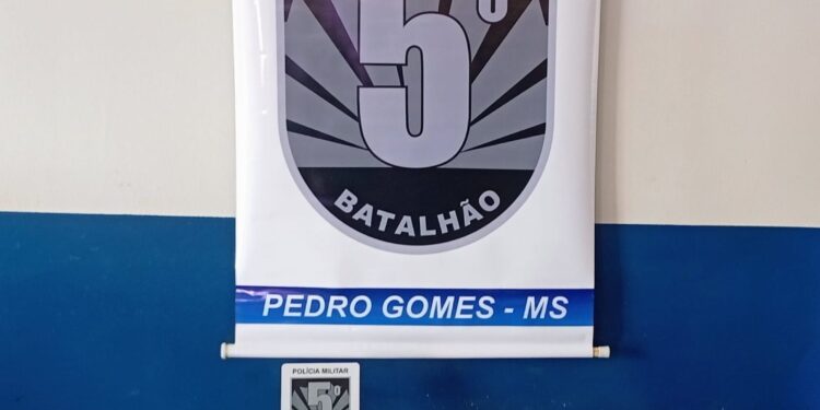 Polícia Militar prende homem por furto e porte ilegal de arma de fogo em Pedro Gomes