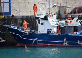 Projeto facilita habilitação de aquaviário para pescadores