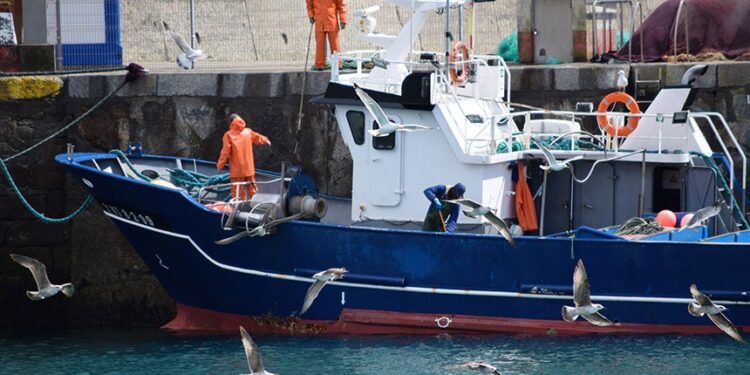 Projeto facilita habilitação de aquaviário para pescadores