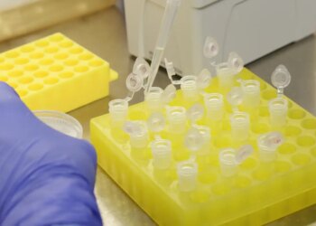 São Paulo confirma segundo caso importado de sarampo no estado em 2026