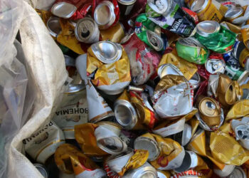 Cooperativa de catadores é alvo de despejo após 37 anos em SP