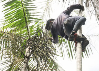 Governo investe R$ 132 milhões na regularização fundiária da Amazônia