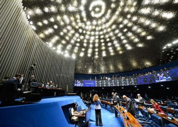 Senado aprova guarda compartilhada de animais de estimação