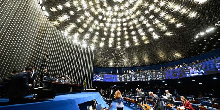 Senado aprova guarda compartilhada de animais de estimação