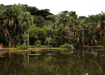 Viva Maria discute o papel do jornalismo na preservação ambiental