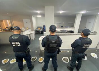 Tráfico desarticulado reforça a proteção ao agro em MS