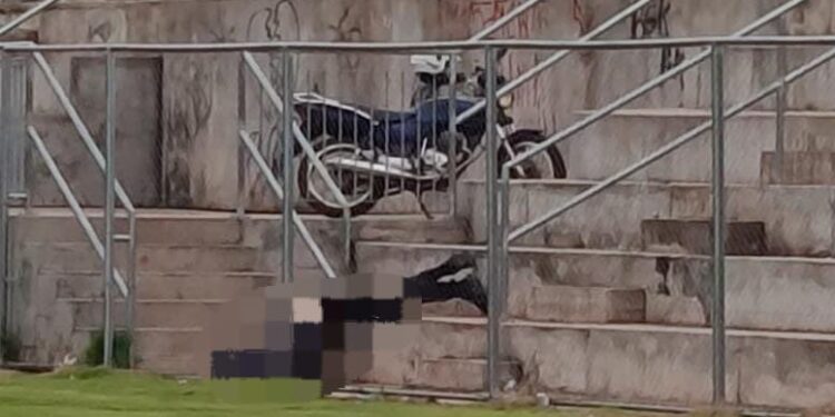 Jovem é encontrado morto em Horto Florestal de Ponta Porã