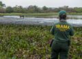 Operação Pantanal: Força-Tarefa Intensifica Combate a Crimes Ambientais em MS