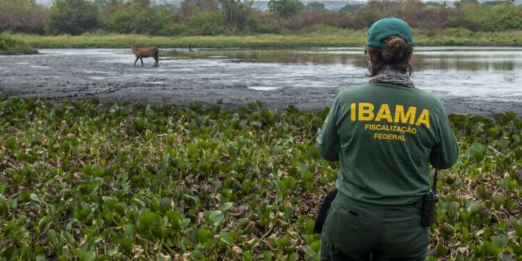 Operação Pantanal: Força-Tarefa Intensifica Combate a Crimes Ambientais em MS